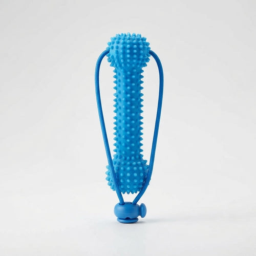 Pet Teeth Grinding and Tooth Brushing Stick