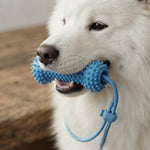 Pet Teeth Grinding and Tooth Brushing Stick