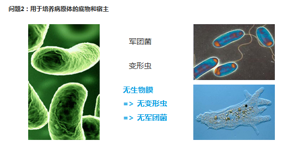 游泳池过滤滤料,游泳池水处理滤料,水处理滤料